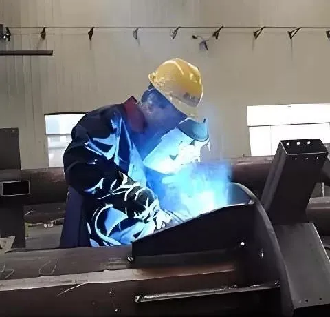 Building Steel Construction