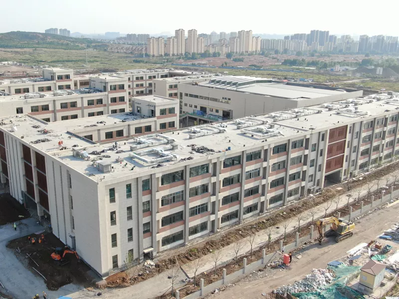 Saham Béja Refrainated